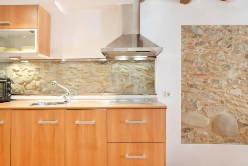 Practico Apartamento En El Casco Antiguo De Girona Apartment Spain